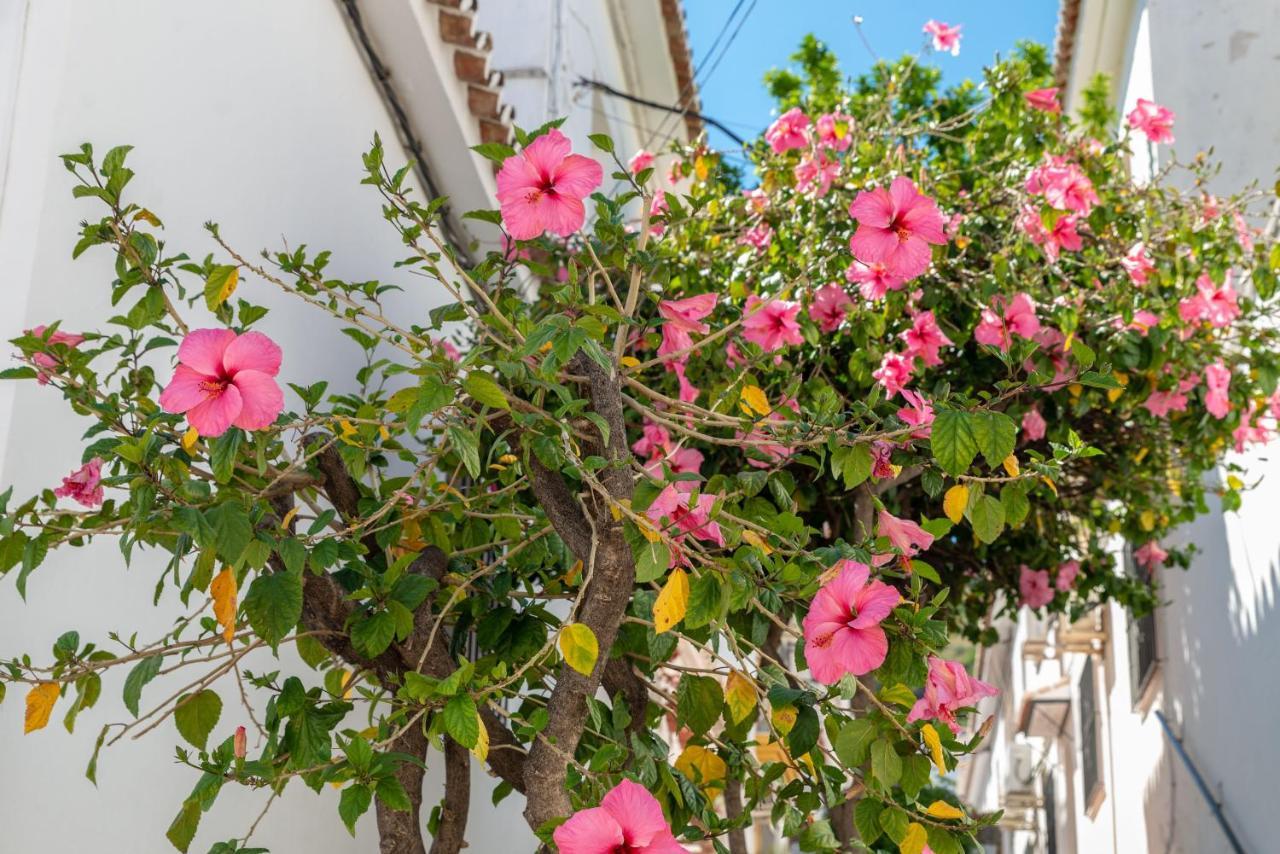 Lovely Cozy 2-Bedroom Residential Home With Patio Benalmádena Buitenkant foto